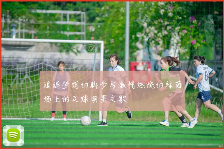 追逐梦想的脚步与激情燃烧的绿茵场上的足球明星之歌