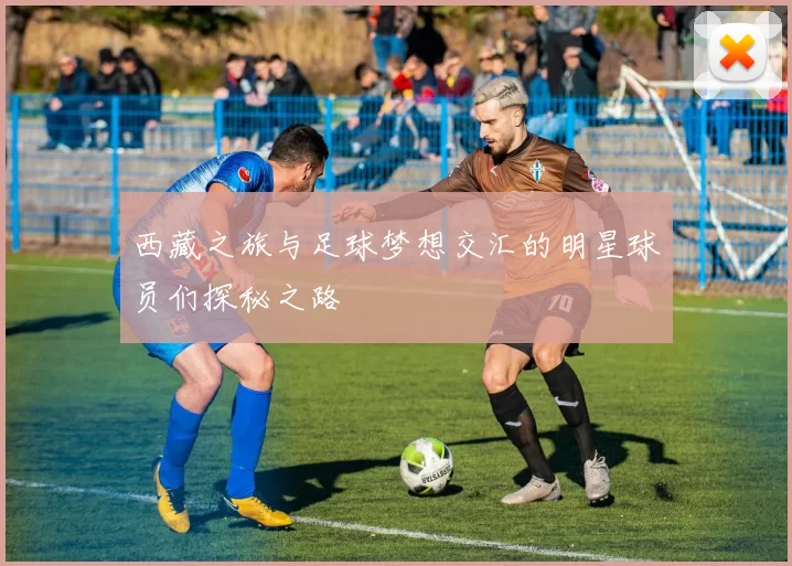 西藏之旅与足球梦想交汇的明星球员们探秘之路