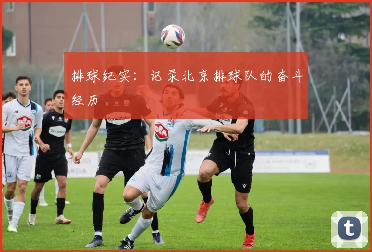 排球纪实：记录北京排球队的奋斗经历