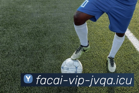 米兰体育服务体系